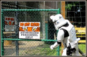 07-CattyShack10-11-2014 008