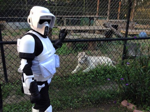 12107026_1632100620372926_8245116411136772983_n