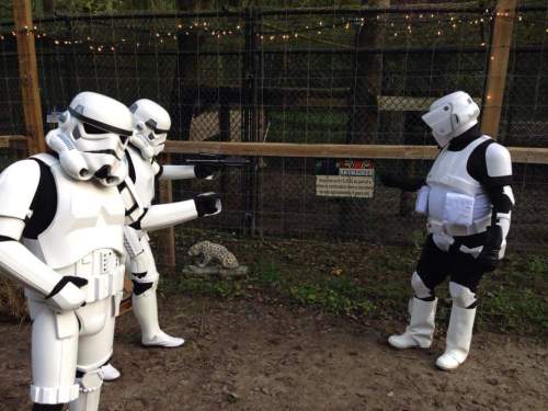 12144745_1632100630372925_4433404202102373557_n